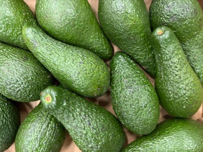 Foto Avocado Pinkerton Calibro 10/12 Origine Brasile Marchio Granot           2