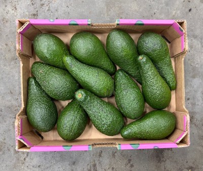 Foto Avocado Pinkerton Calibro 10/12 Origine Brasile Marchio Granot           3