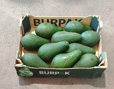 Foto Avocado Varietà Pinkerton Calibro 10 Origine Republica Domenicana Marchio Burpak 1