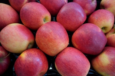 Foto Evelina Calibro 80/85  Origine Italia lavorazione in Padella Marchio Melasì     2