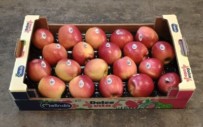 Foto Mele Evelina Varietà Gradisca Calibro 75/80 Origine Italia Marchio Dolce Vita  1