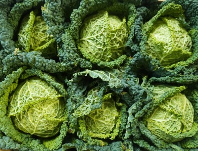 Foto Verza Riccia Origine Italia Marchio Allocca        2