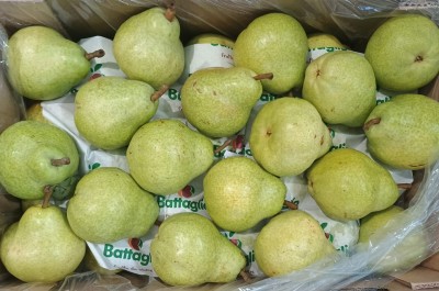 Foto William Bianche Calibro 35 Origine Argentina Marchio Battaglio  2