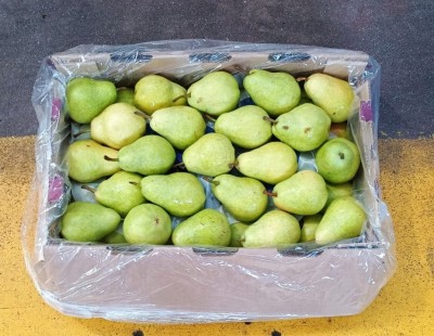 Foto Pere William Bianche Calibro 45 Origine Argentina Marchio Battaglio 1