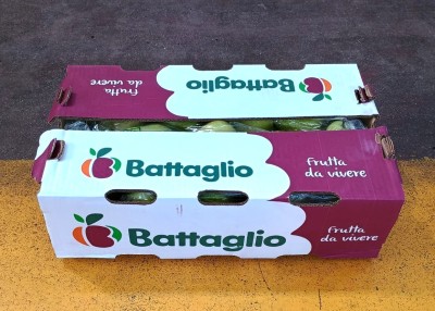 Foto Pere William Bianche Calibro 45 Origine Argentina Marchio Battaglio 3