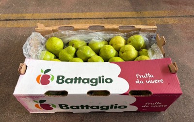 Foto Pere William Bianche Calibro 50 Origine Argentina Marchio Battaglio 1