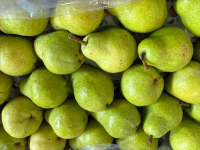 Foto Pere William Bianche Calibro 50 Origine Argentina Marchio Battaglio 2