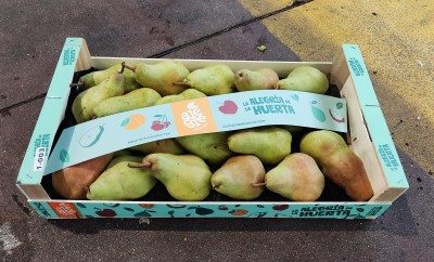 Foto Pere William Bianche Varietà Alexandrine Calibro 75+ Origine Spagna Marchio Alegria 1