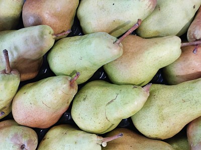 Foto Pere William Bianche Varietà Alexandrine Calibro 75+ Origine Spagna Marchio Alegria 2