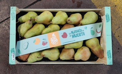 Foto Pere William Bianche Varietà Alexandrine Calibro 75+ Origine Spagna Marchio Alegria 3