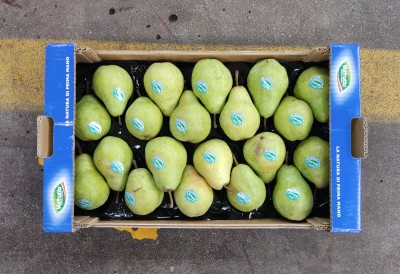 Foto William Bianche Calibro 65/70 Origine Italia Marchio Valfrutta 3