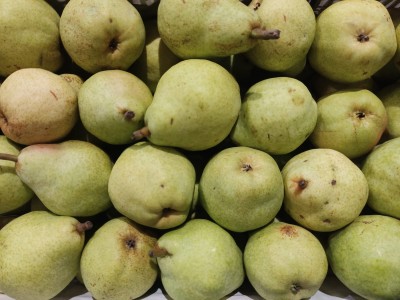 Foto Pere William Bianche Calibro 65+ Origine Spagna Marchio Raimondo 2