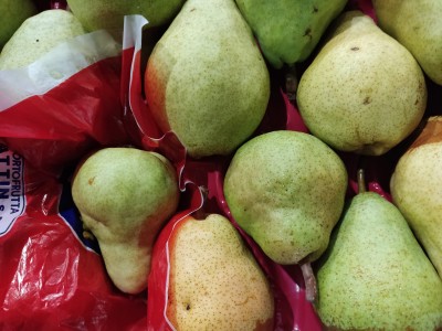 Foto Pere William Bianche Calibro 18 origine Argentina Marchio Sattin 2