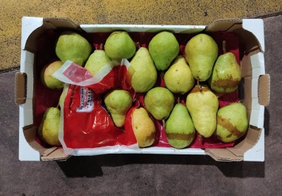 Foto Pere William Bianche Calibro 18 origine Argentina Marchio Sattin 3