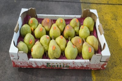 Foto Pere William Bianche Calibro 20 Origine Italia Marchio Sattin 1