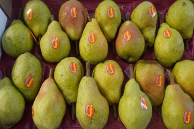 Foto Pere William Bianche Calibro 20 Origine Italia Marchio Sattin 2