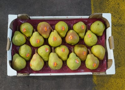 Foto Pere William Bianche Calibro 20 Origine Italia Marchio Sattin 3