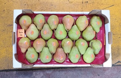 Foto Pere William Bianche Calibro 22 Origine Italia  Marchio Sattin 3