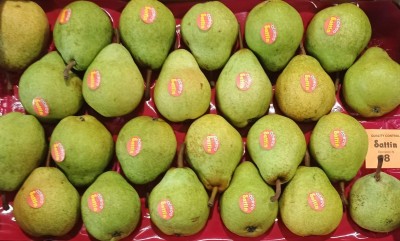 Foto William bianche   Lavorazione In Doppio Strato Calibro 24 Origine Italia Marchio Sattin  2