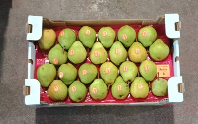 Foto William bianche   Lavorazione In Doppio Strato Calibro 24 Origine Italia Marchio Sattin  3