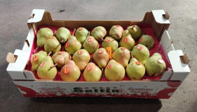 Foto Pere William Bianche Lavorazione in D/s Calibro 24 Origine Argentina Marchio Sattin 1