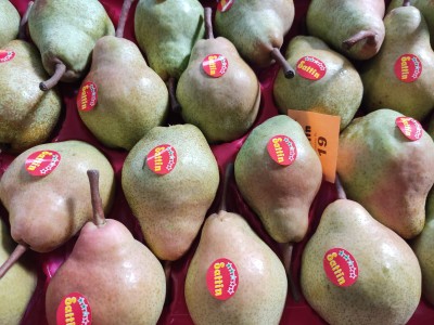 Foto Pere William Bianche Lavorazione in D/s Calibro 24 Origine Argentina Marchio Sattin 2