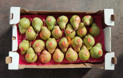 Foto Pere William Bianche Lavorazione in D/s Calibro 24 Origine Argentina Marchio Sattin 3