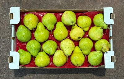 Foto Pere William Bianche Calibro 75/80 Lavorazione in doppio Strato Origine Argentina Marchio Sattin 3