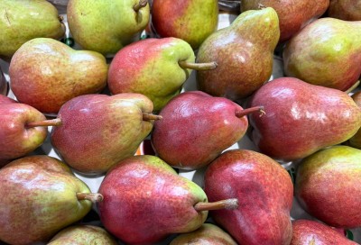 Foto Pere William Rosse Origine Argentina Marchio Battaglio 2