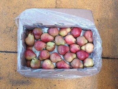 Foto William Rosse Calibro 40 Origine Argentina Marchio Battaglio  1