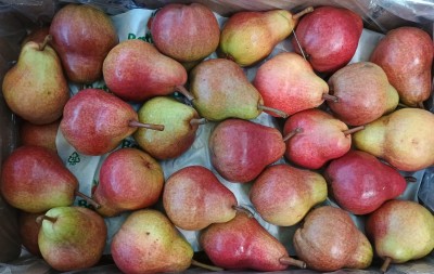 Foto William Rosse Calibro 40 Origine Argentina Marchio Battaglio  2