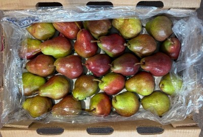 Foto Pere William Rosse Calibro 45 Origine Argentina Marchio Battaglio  3