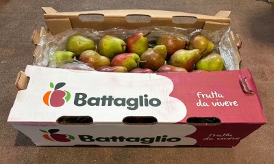 Foto Pere William Rosse  Barlett Calibro 55 Origine Argentina Marchio Battaglio 1