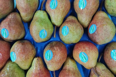 Foto Pere William Rosse Calibro 65/70 Origine Italia Marchio Valfrutta 2