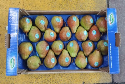 Foto Pere William Rosse Calibro 65/70 Origine Italia Marchio Valfrutta 3