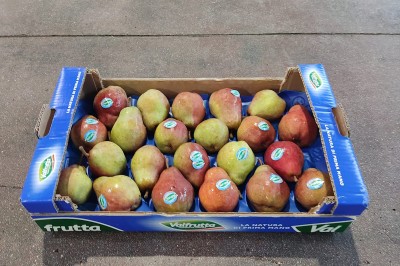 Foto William Rosse Calibro 65/70 Origine Italia Marchio Valfrutta 1