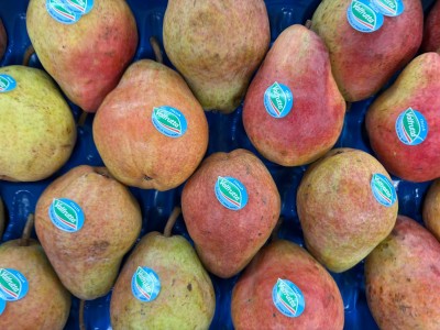 Foto Pere William Rosse Calibro 75/80  Origine Italia Marchio Valfrutta 2