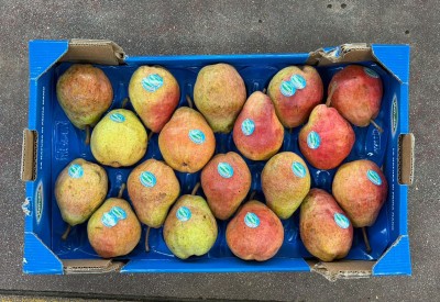 Foto Pere William Rosse Calibro 75/80  Origine Italia Marchio Valfrutta 3