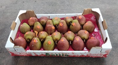 Foto Pere William Rosse Calibro 22 Origine Argentina Marchio Sattin 1