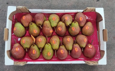 Foto Pere William Rosse Calibro 22 Origine Argentina Marchio Sattin 2