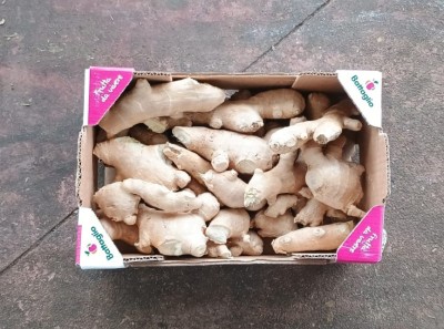 Foto Zenzero Confezione Da 2 Kg Origine Brasile Marchio Battaglio  3