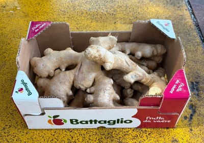 Foto Zenzero Radice Origine Brasile Marchio Battaglio 1