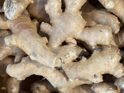 Foto Zenzero Radice Origine Brasile Marchio Battaglio 2