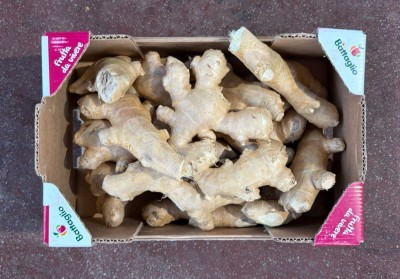 Foto Zenzero Radice Origine Brasile Marchio Battaglio 3