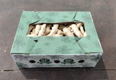 Foto Zenzero 5 Kg Origine Brasile Marchio Fresh Ginger 1