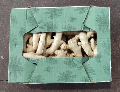 Foto Zenzero 5 Kg Origine Brasile Marchio Fresh Ginger 3