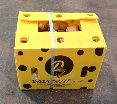 Foto Zenzero Confezione Da 5 Kg Origine Cina Marchio Fresh Ginger       1