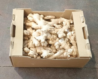 Foto Zenzero Confezione Da 5 Kg Origine Brasile Marchio Cartone Marrone       1