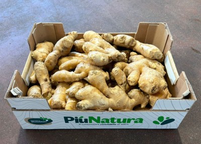 Foto Zenzero Confezione da 5 Kg Origine Cina Marchio Natura Più 1