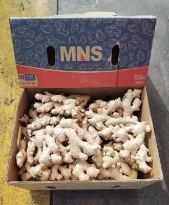 Foto Zenzero Confezione da 13 Kg Origine Brasile Marchio Mns 1